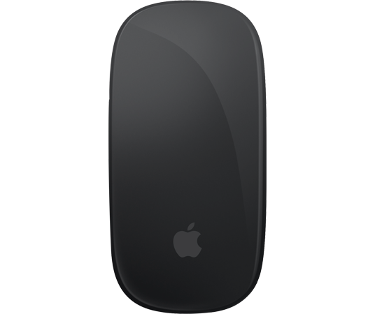 Magic Mouse - Multi-Touch Surface
