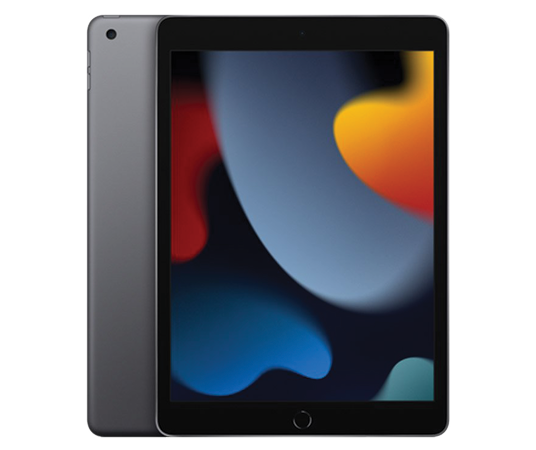 Apple iPad 9th Generation 256GB 10.2-inch Multi-Touch Retina Display