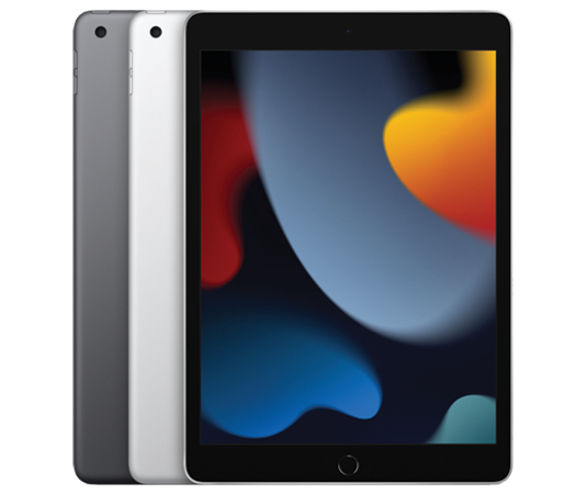 Apple iPad 9th Generation 256GB 10.2-inch Multi-Touch Retina Display